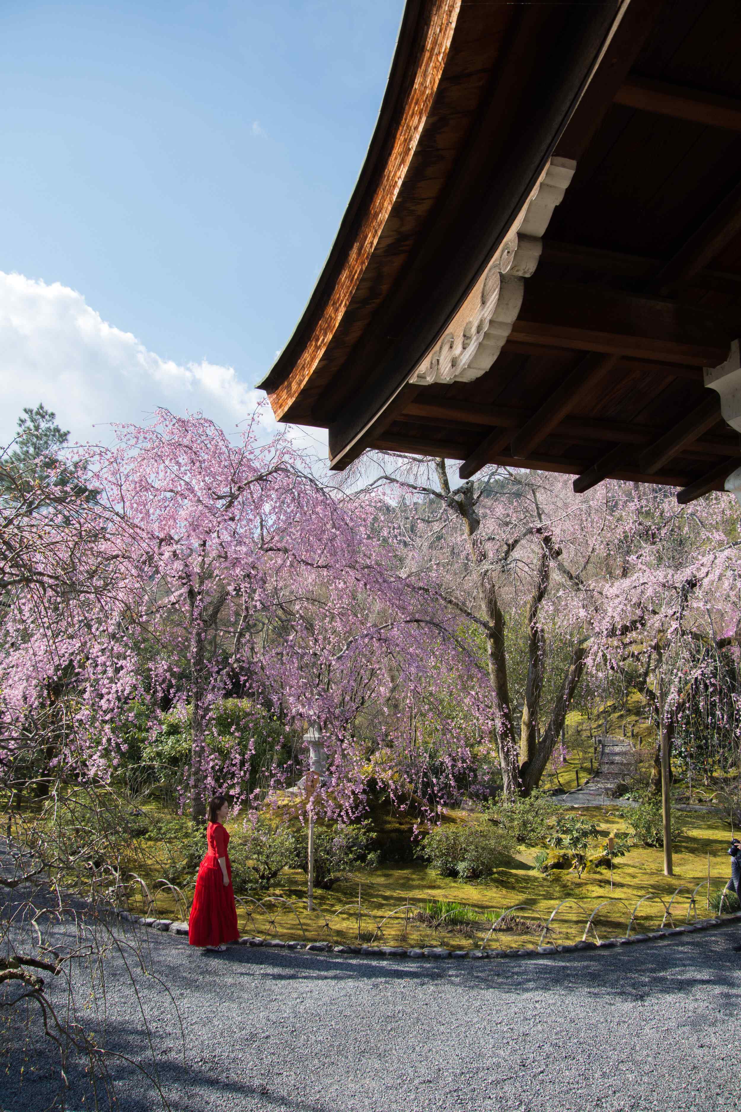 🌸 옛 엔유지 정원 (규엔유지테이엔) - 국가지정명승